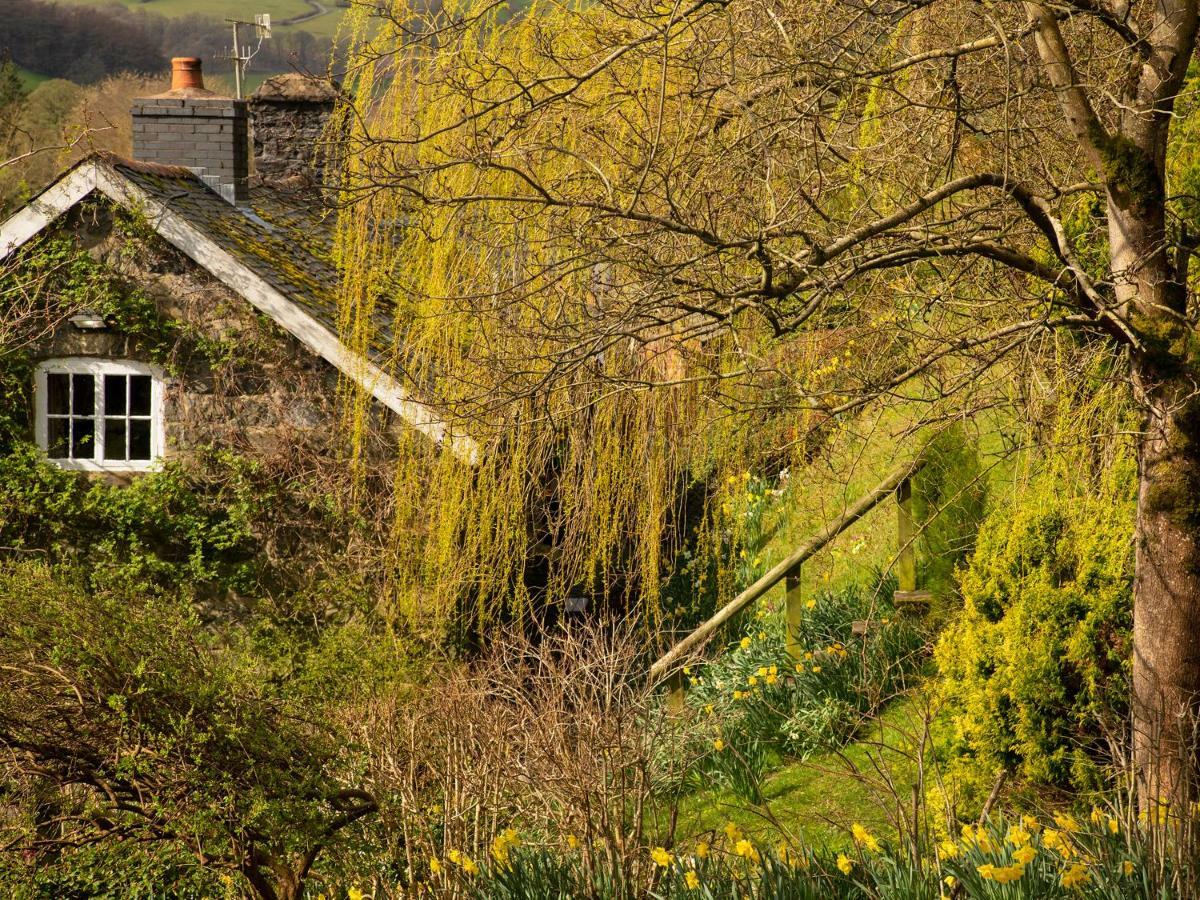 Dolgenau Cottages Trefeglwys Kültér fotó