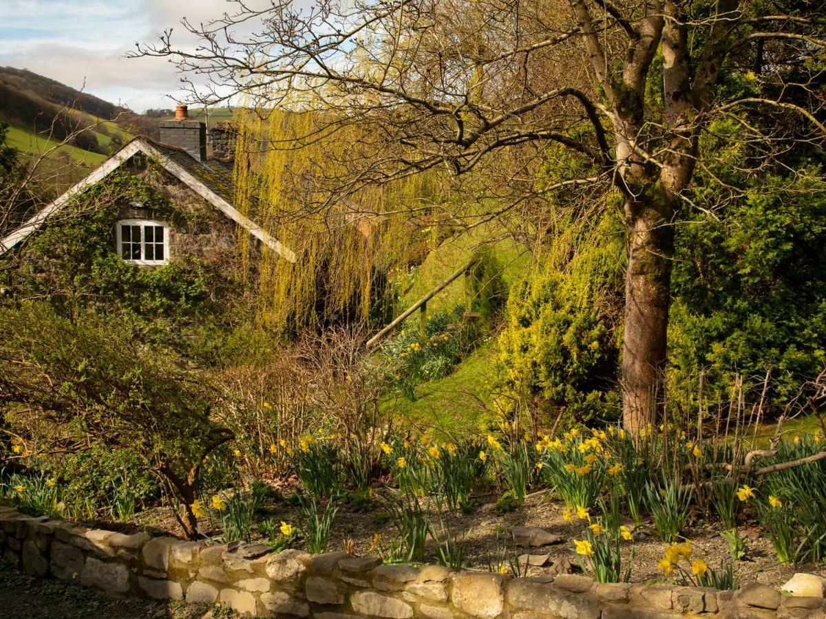 Dolgenau Cottages Trefeglwys Kültér fotó